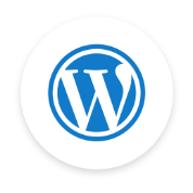 connettore WordPress