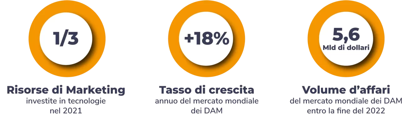 dati sul mercato del DAM