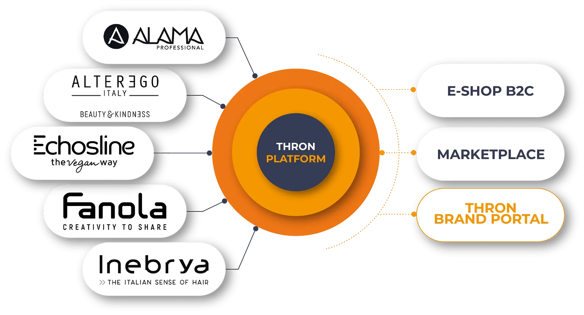 Immagine di come si costituisce la THRON PLATFORM per Pettenon Cosmetics. 