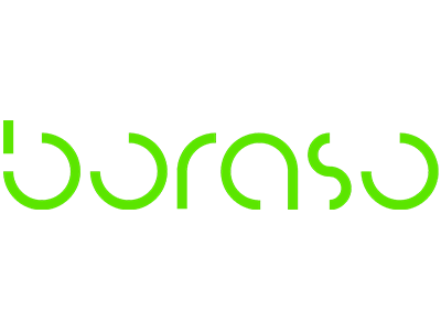 Logo Boraso.