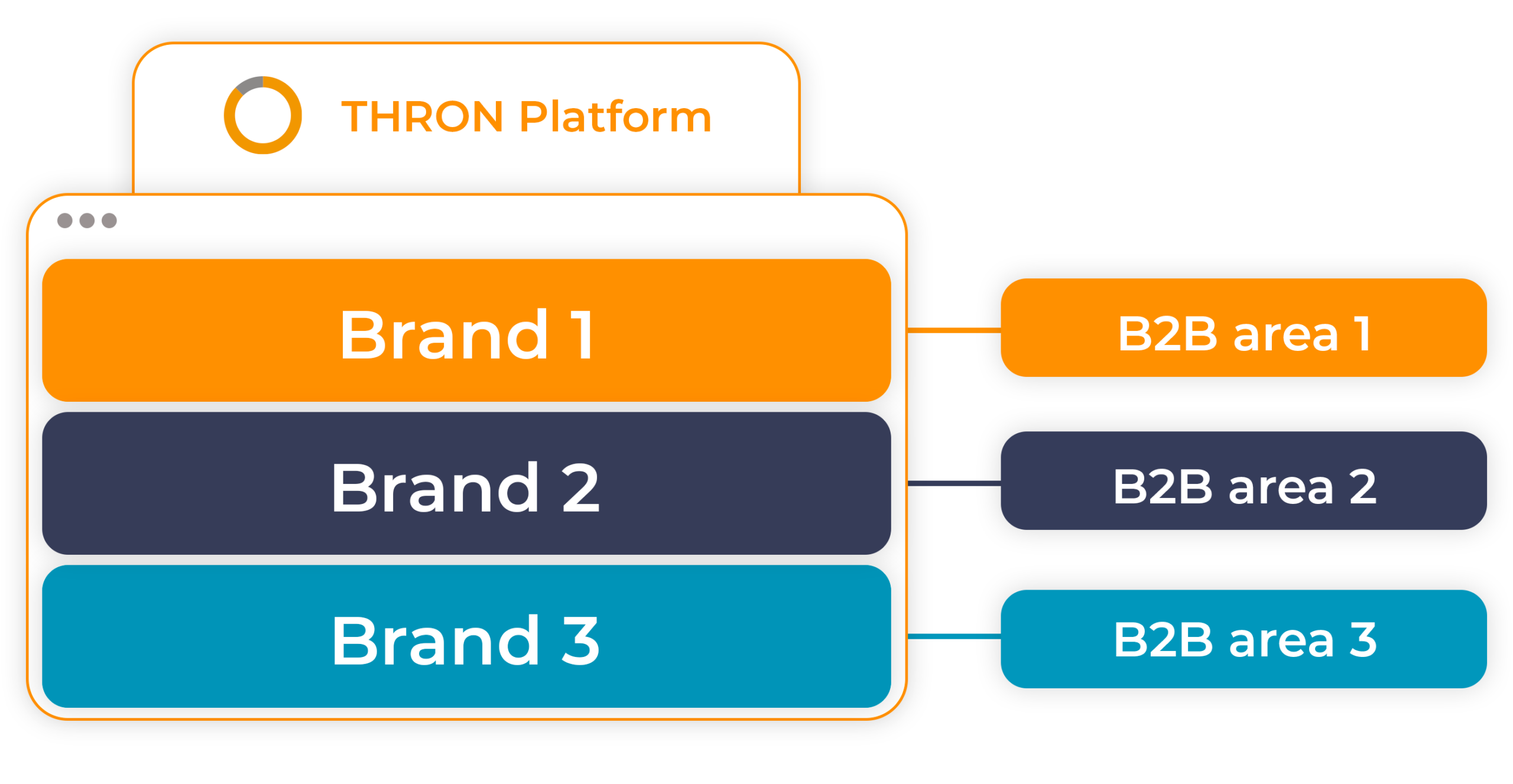Visual diagram of the THRON platform connecting multiple brands to different dedicated B2B areas.