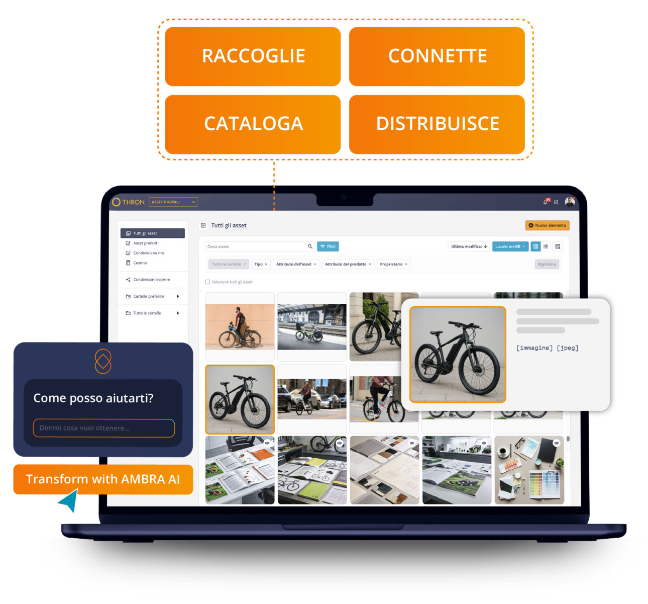 THRON raccoglie, collega, cataloga e distribuisce asset digitali, con Ambra AI che trasforma le immagini prodotto.