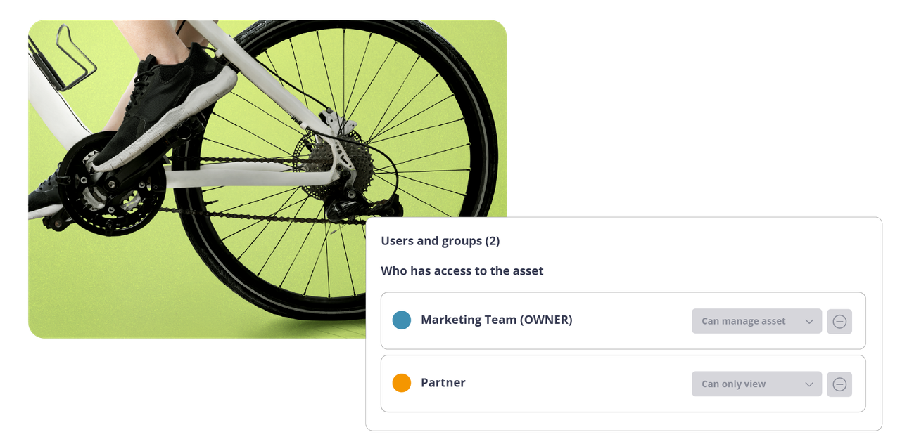 Schermata della piattaforma THRON con permessi di accesso di un asset che ritrae il pedale e la ruota posteriore di una bicicletta.